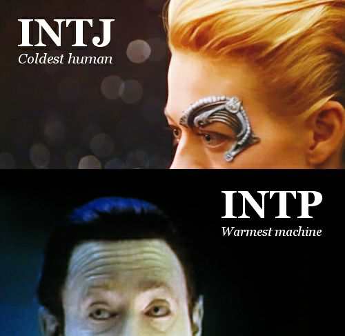 intj 与 intp 的区别是什么?