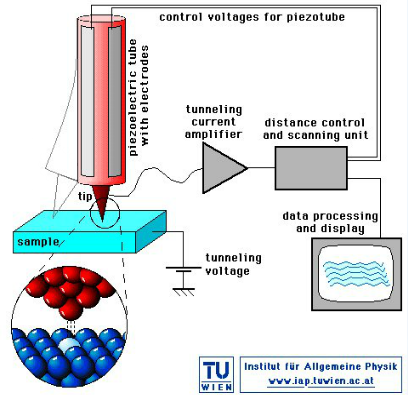 怎能没有 扫描隧道显微镜 这个是原理图