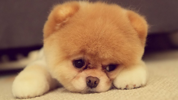 一个<em>25岁</em>的漂亮<em>姑娘</em>说从没<em>喜欢</em>过一个人,说明