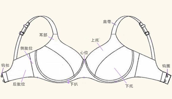 文胸的结构,以及分类