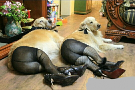 原味丝袜这个灰色产业链是怎样的? - 匿名用户