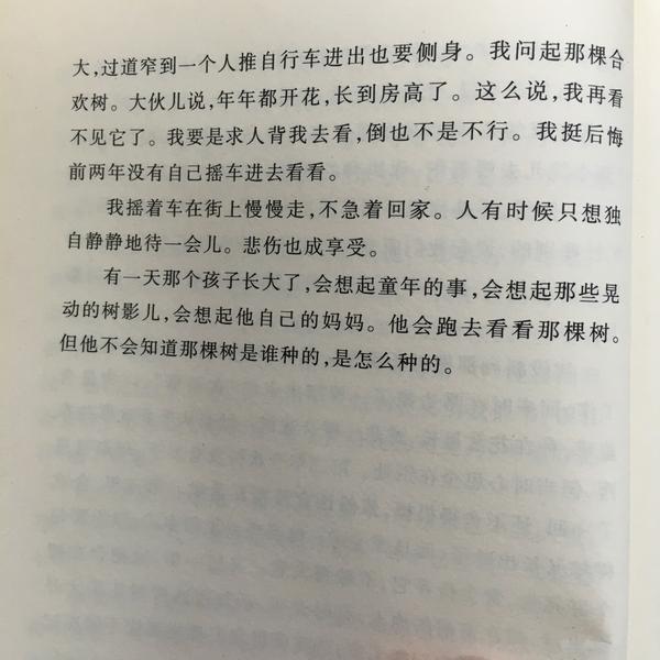 你最喜欢史铁生《我与地坛》里的哪篇文章?为什么?