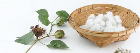 倚天屠龙记》里面小昭戴着脚镣,怎么换<em>内裤</em>? 