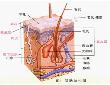 留着看