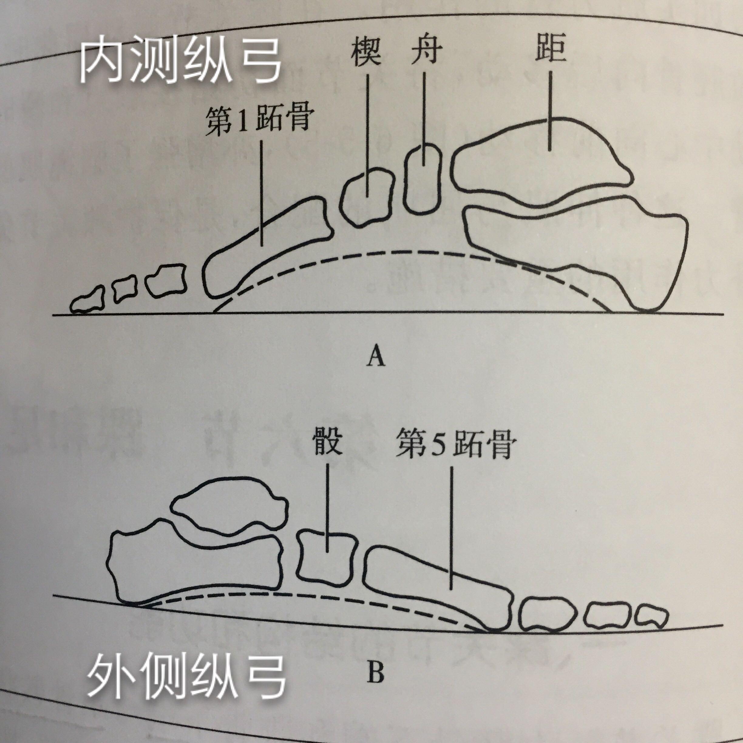 毛miao 答过的问题 知乎