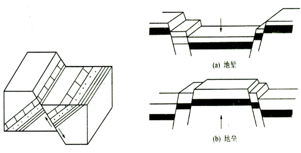 地垒的部分地块由于断层相对运动而发生抬升凸起,而地堑与之相反.