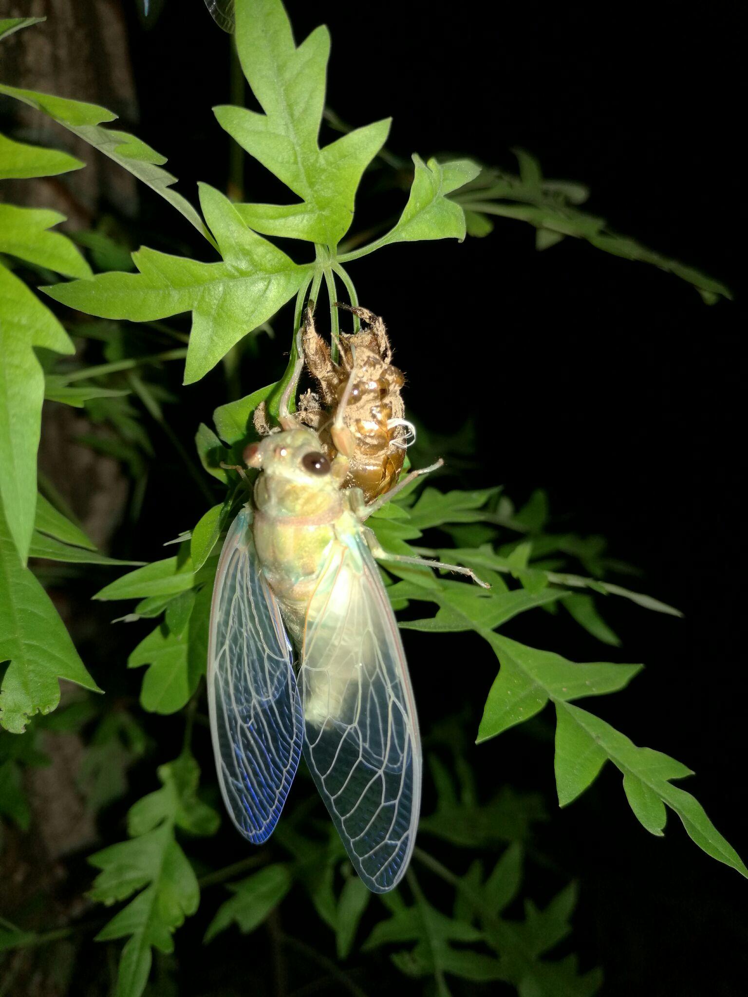 非鱼知鱼乐 - 知乎