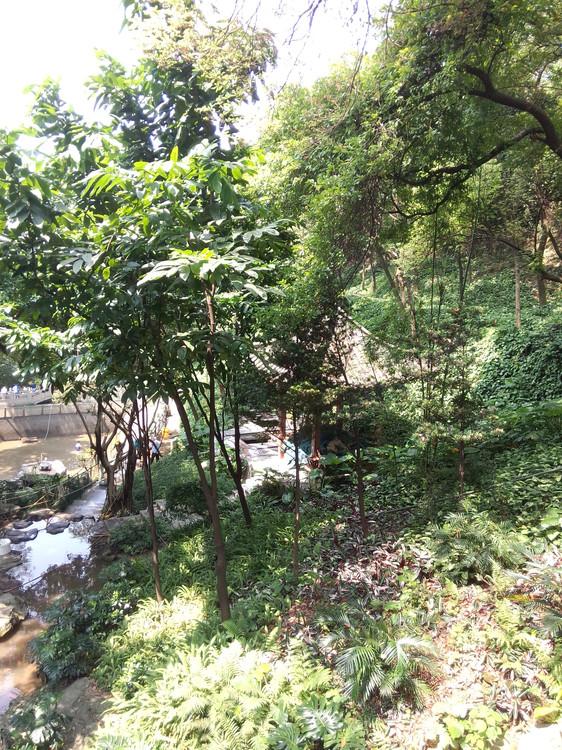 广州有哪些好玩,好看的地方? - 旅游 - 知乎