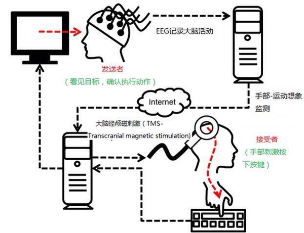 脑电信号流程