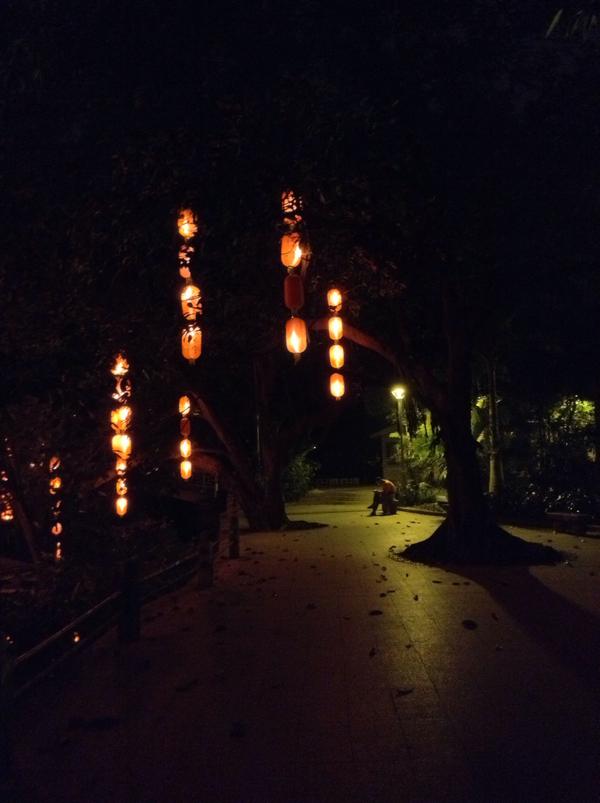 慑于广州荔枝湾公园,深夜十一点半左右.