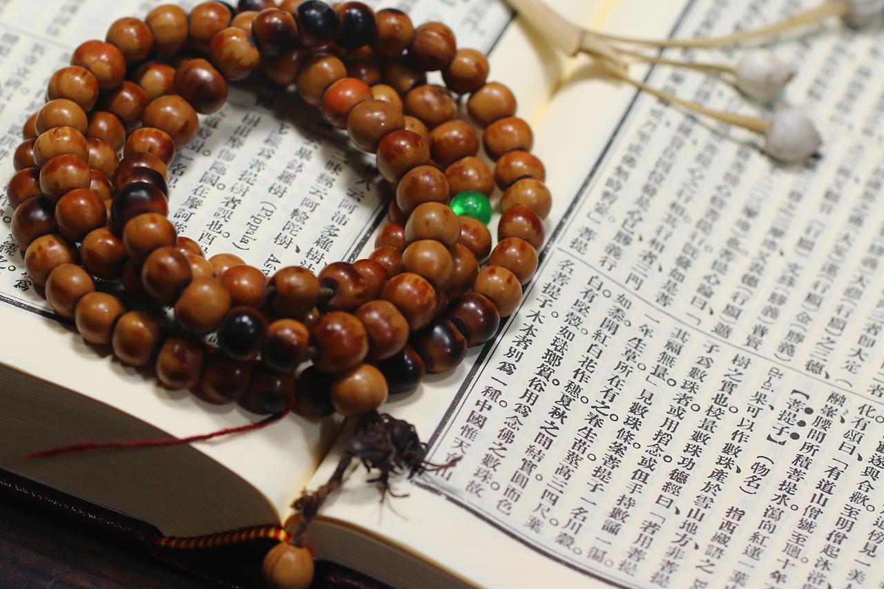 菩提子名相之谜——99%的人都不知道菩提子的真正渊源