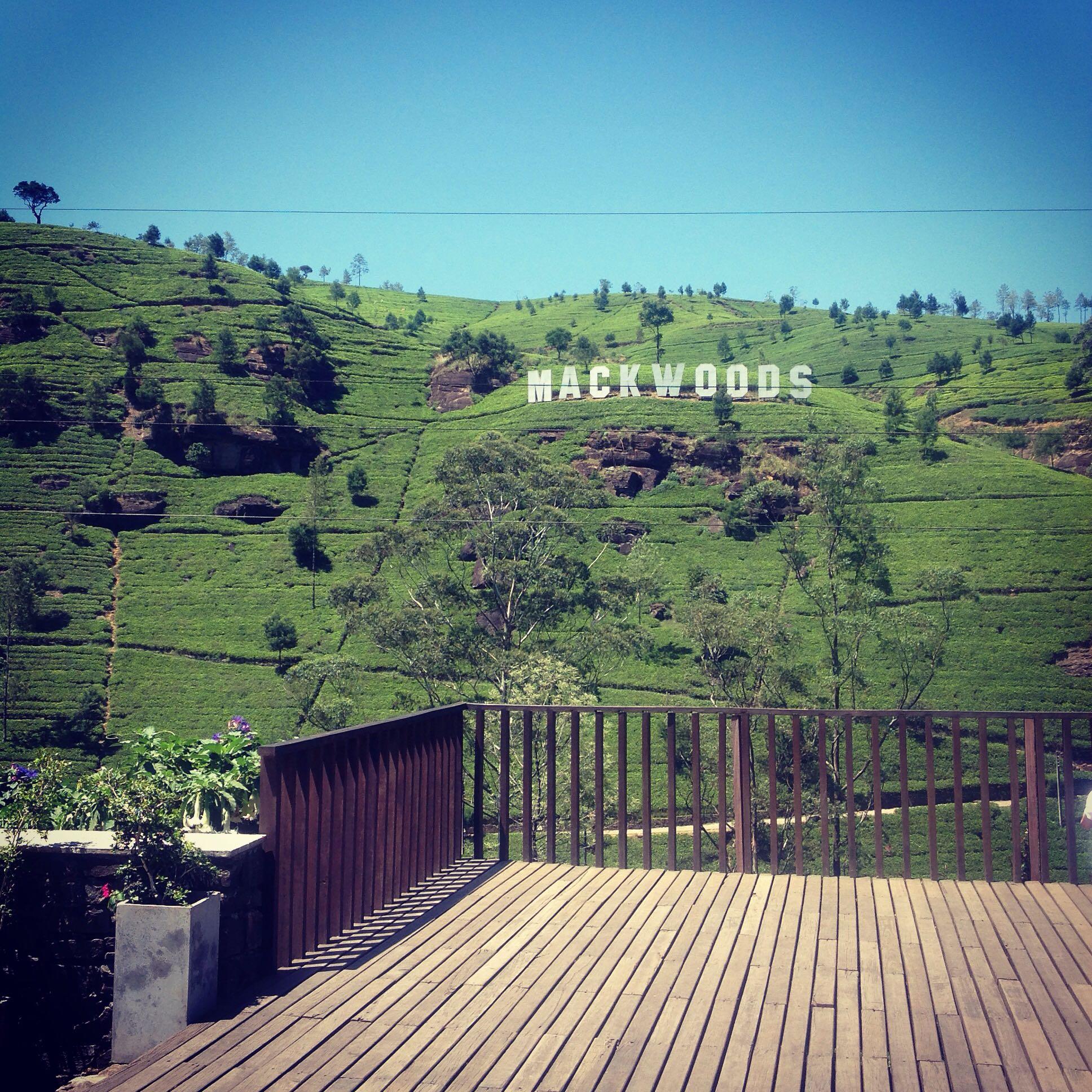 缅甸、尼泊尔和斯里兰卡中,哪个更适合作为出