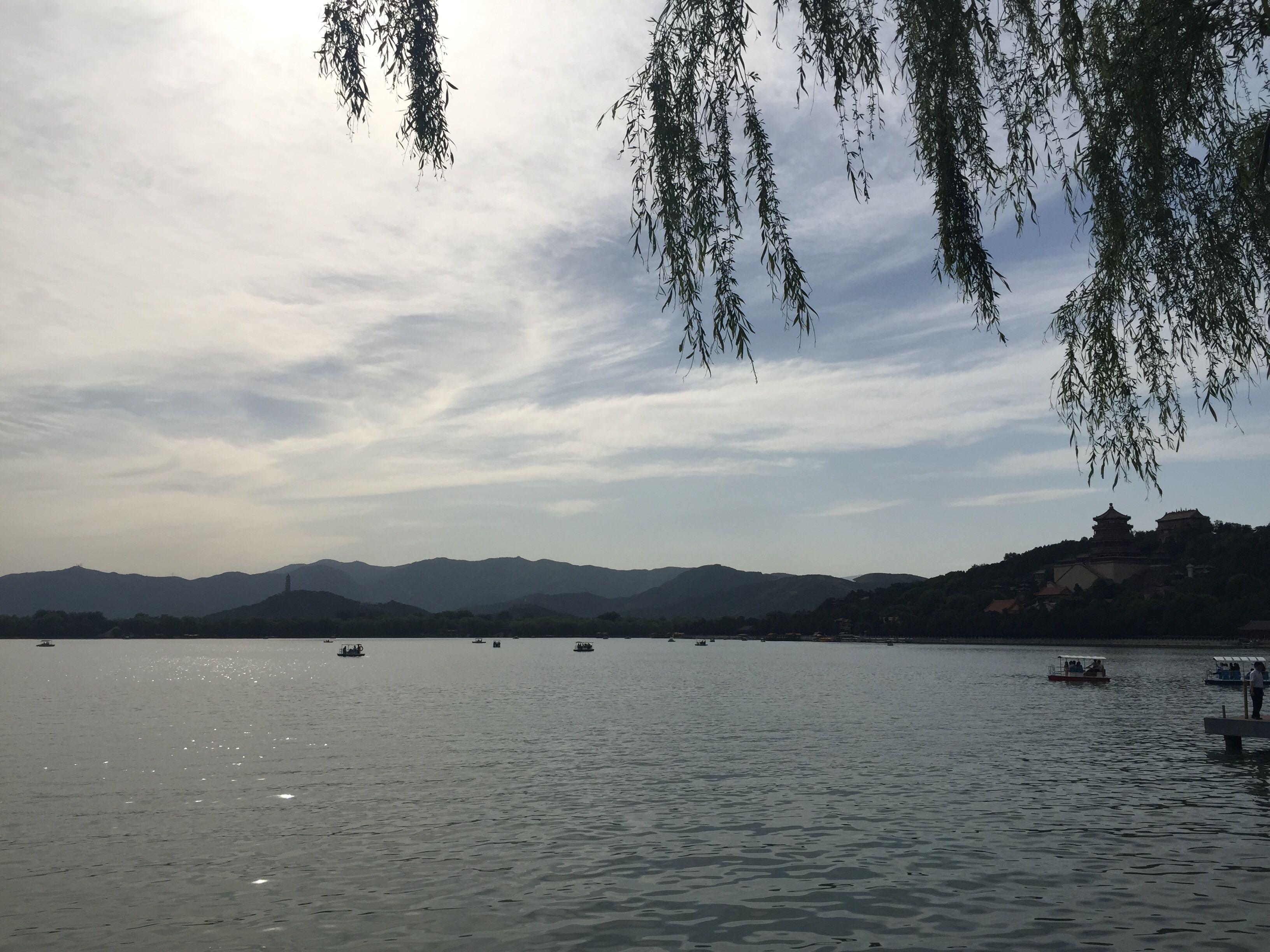 谈一谈你的暗恋吧? - 知乎用户的回答 - 知乎