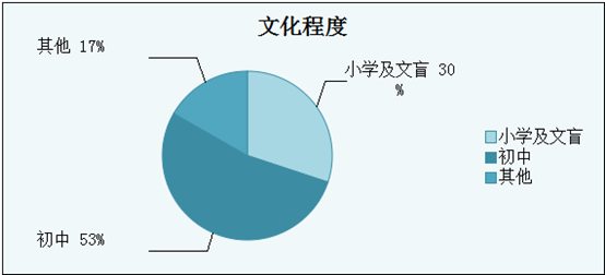 文化程度