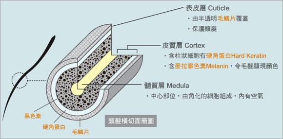 我的收藏 - 收藏夹 - 知乎