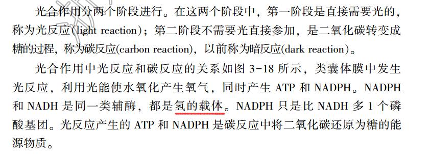 v课本考的课本用知识高中的题目解决,指高中英语人物作文介绍图片