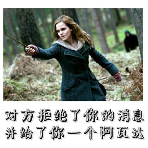 不论对方说什么都能这么还击 但是我最爱的还是乌姆里奇的表情