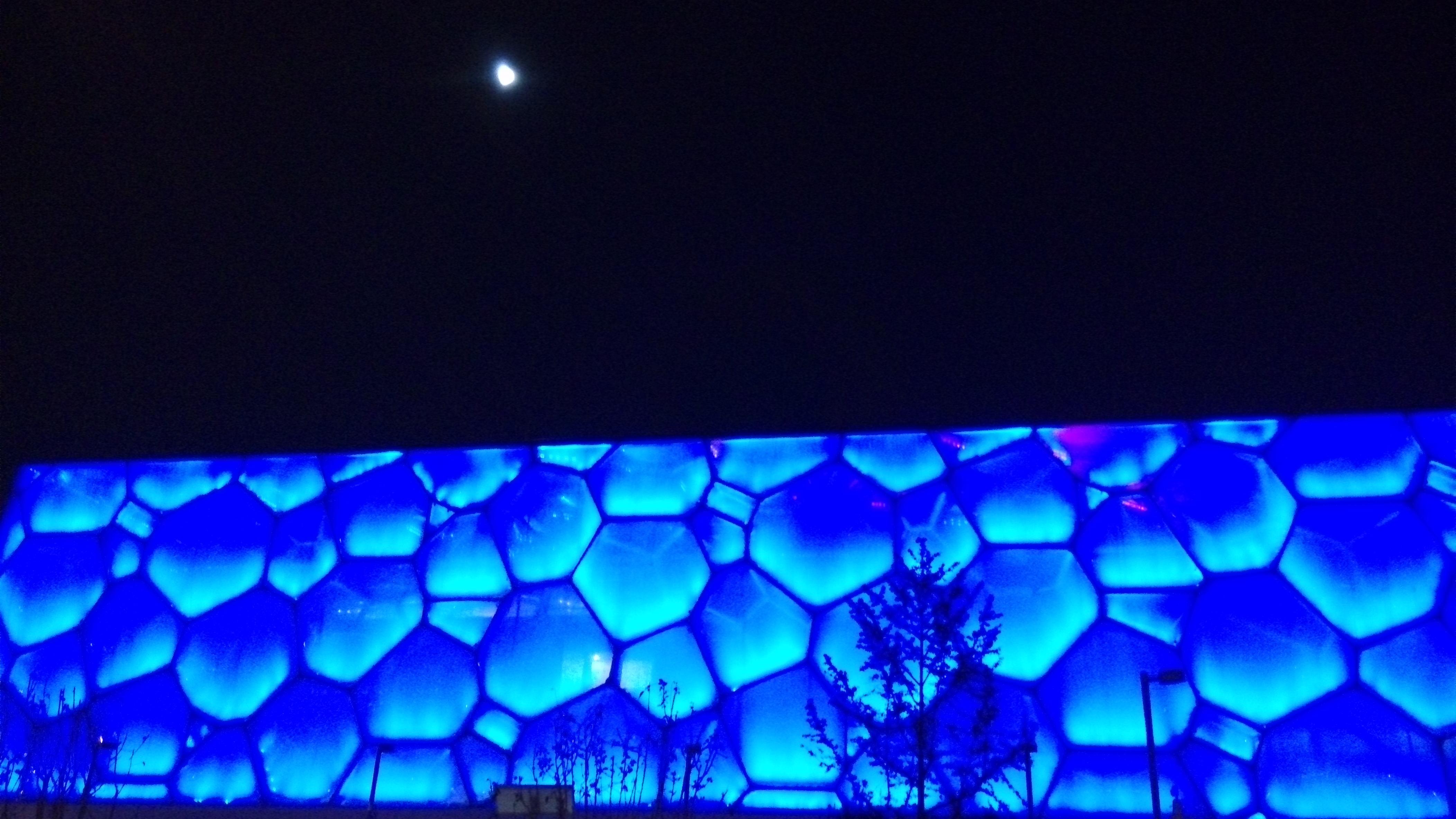 没有什么可以阻挡我对自由的向往 - 设计湿了没