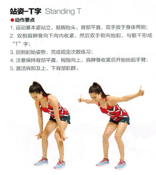 知乎回答：上交叉综合征和如何调整呼吸