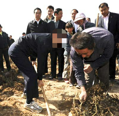 new balance 哪款运动鞋穿着最舒服? - 知乎用