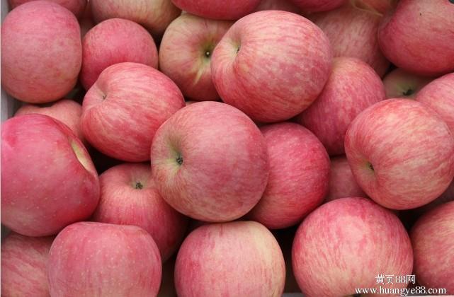 苹果为什么一年四季都有卖? - Chou舒的回答