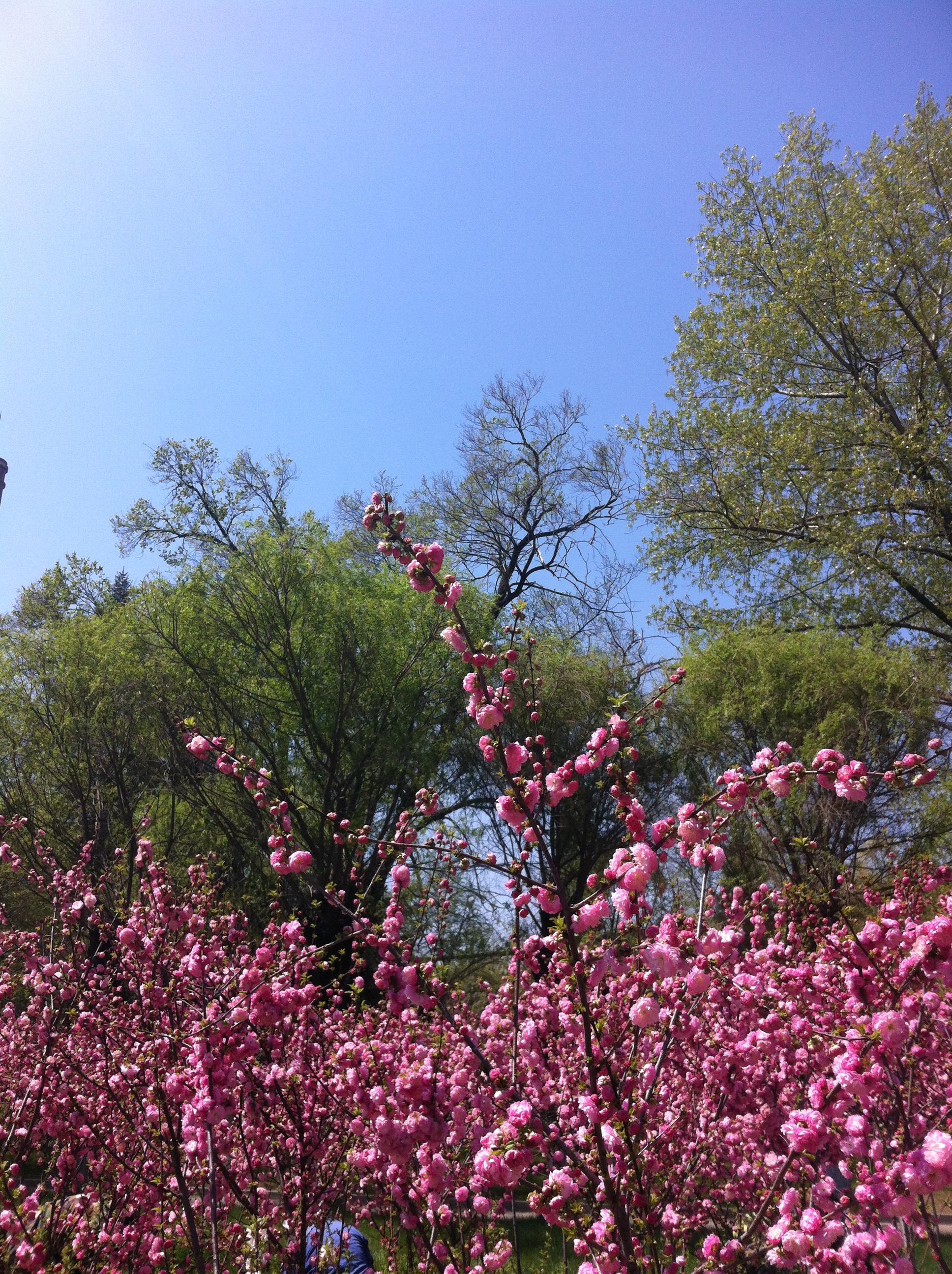 在东北电力大学就读是怎样一番体验? - 知乎用