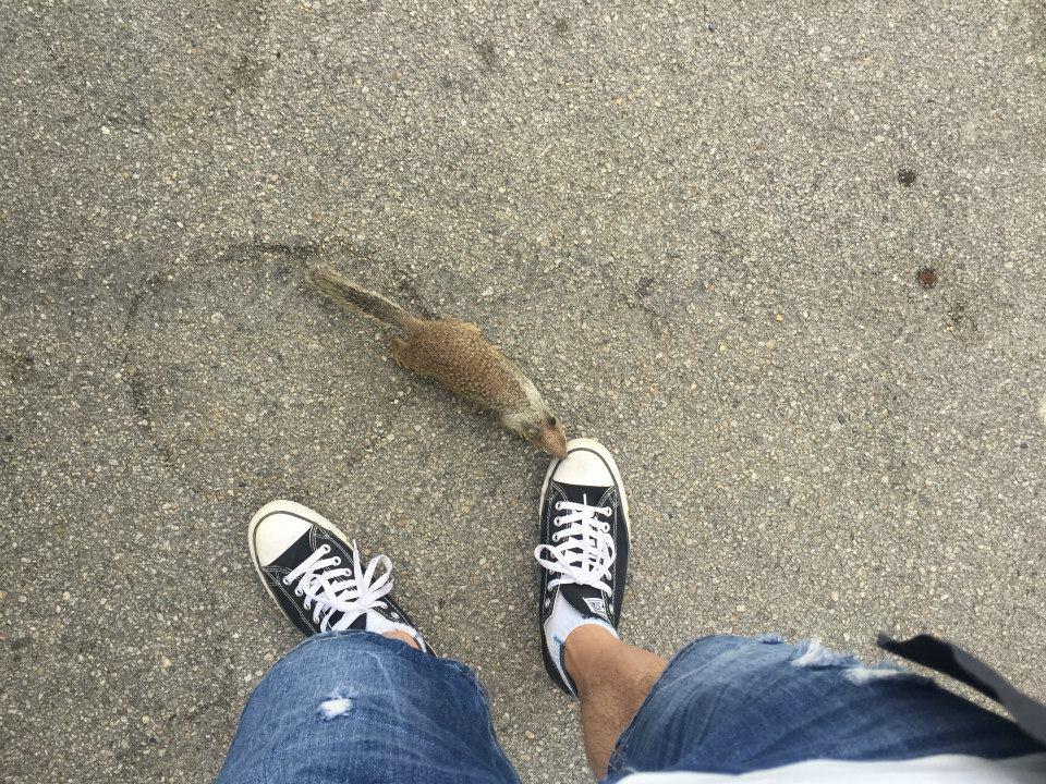 从洛杉矶沿着加州一号公路开车到旧金山,如何