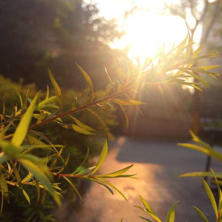 如何做到手机摄影的极致,或者你有哪些自认为是手机摄影极致的照片?