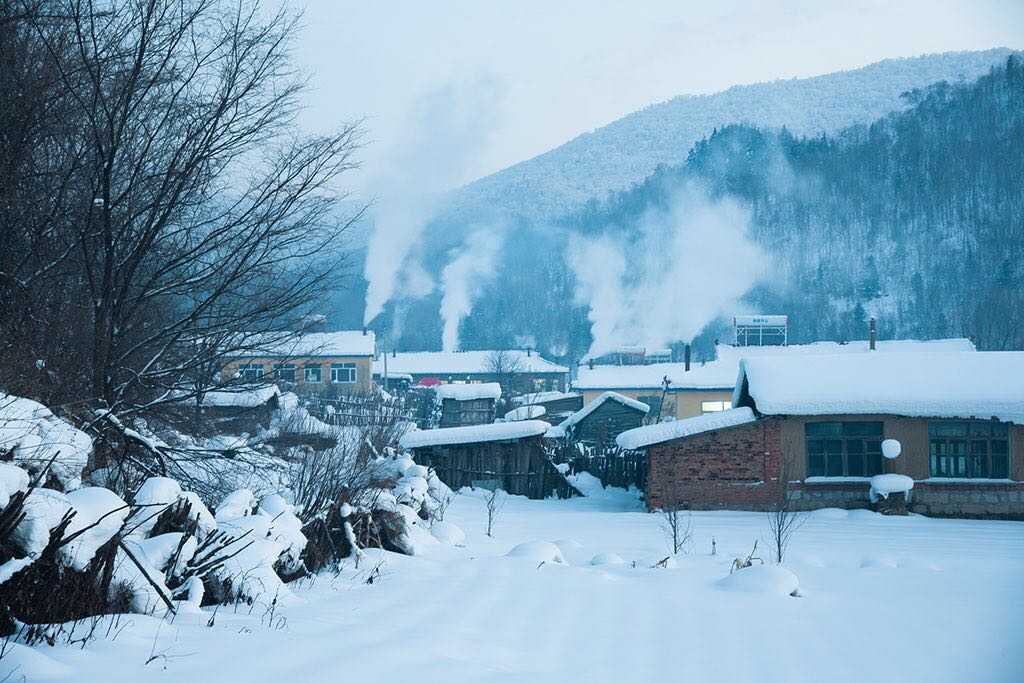 在一个大雪纷飞的寒夜里,我走进了一个北方的村庄,敲开了一个再平凡