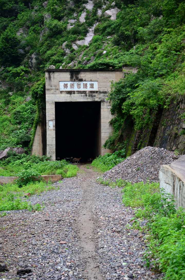 沿着河岸走了一段之后来到了已经废弃的奶奶包隧道口,轨道已经拆除了