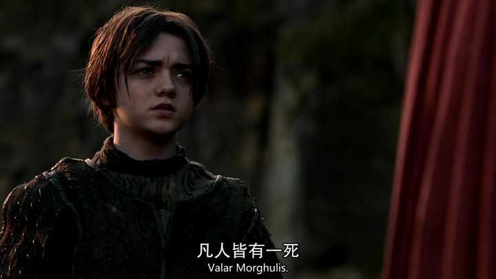 如何评价《冰与火之歌》中的艾莉亚·史塔克(arya stark)?