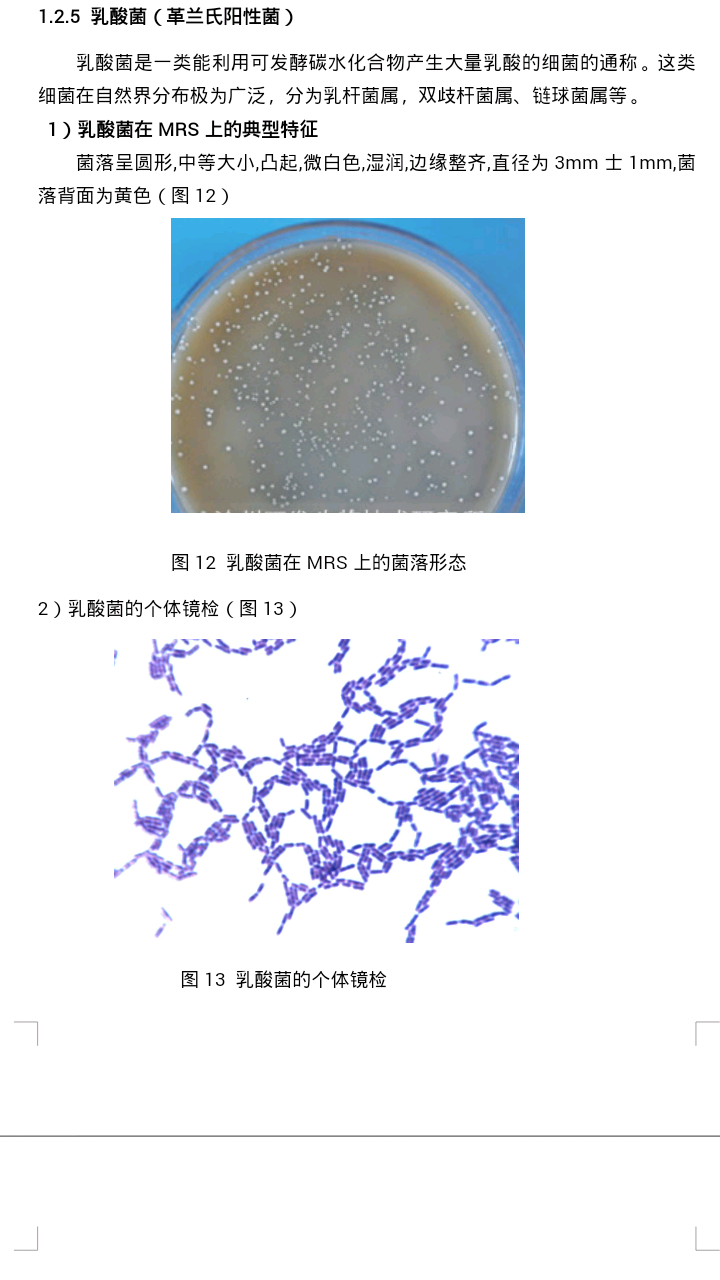 细菌都是什么颜色的一种细菌长在不同的营养物质上颜色一样吗