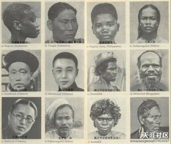 日本人,韩国人,中国人在长相特征上有哪些不同?
