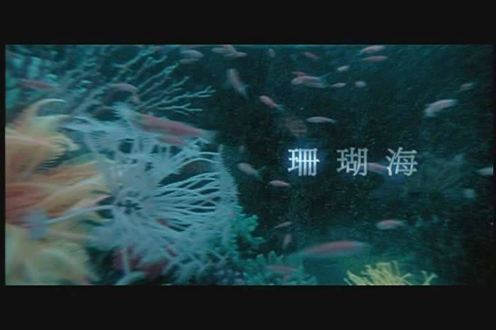 10.珊瑚海