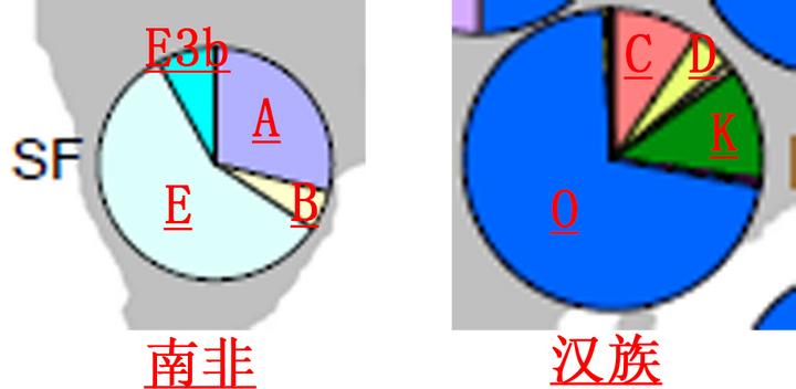 汉族是混血民族吗?