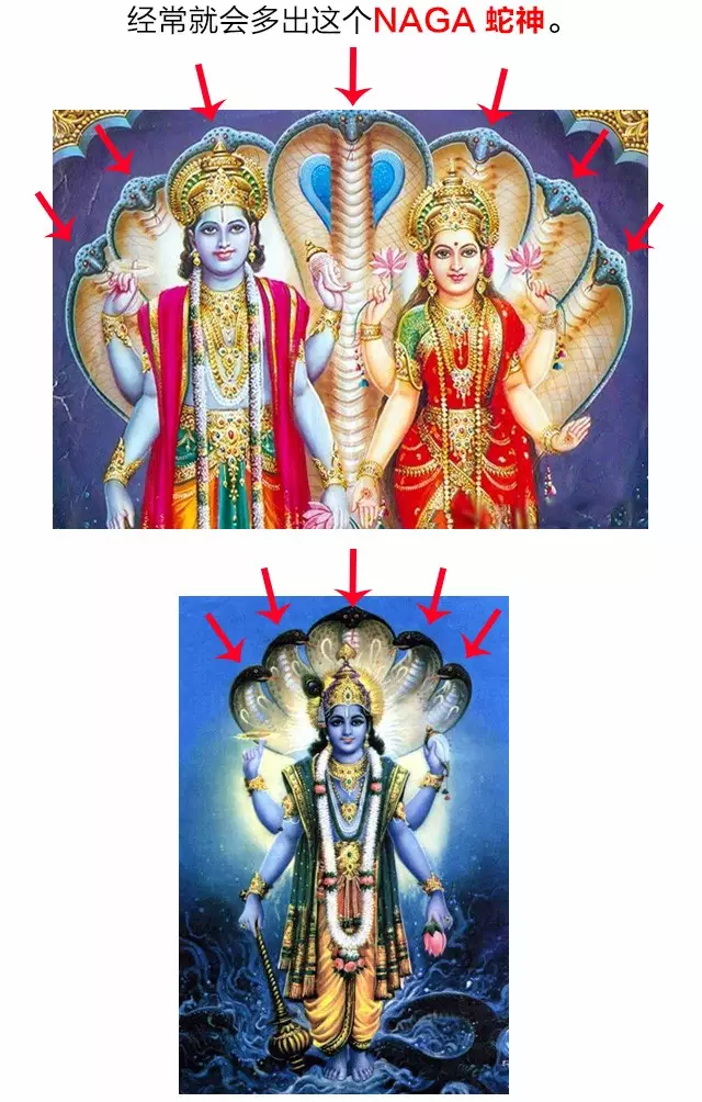 继续我们的naga话题 比如印度教中传说, 毗湿奴躺在一条叫做阿难陀
