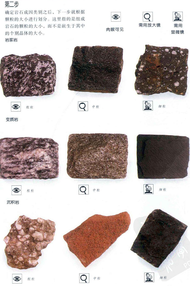 如何分辨生活中常见的石头种类?