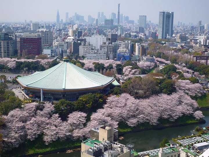 日本武道馆