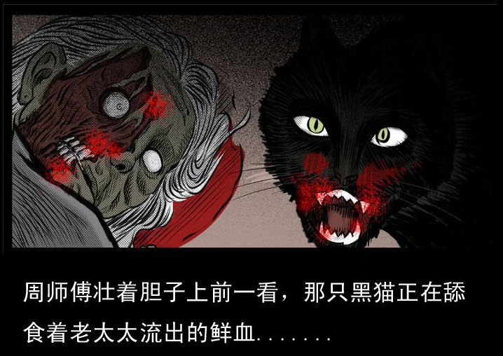 找到一篇漫画,就是关于猫脸老太太的,虽然可能与原故事稍有不符,但是