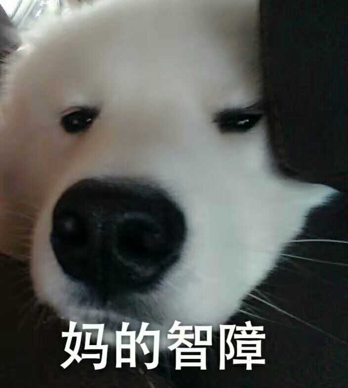 谢邀 辛巴是个行走的表情包 妈的智障
