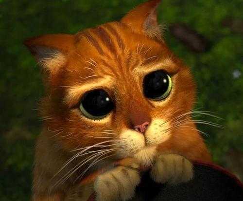 何种女性可称「绿茶婊」?