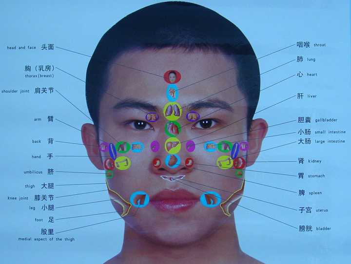 「五官对应五脏」用现代医学怎么解释? - 知乎
