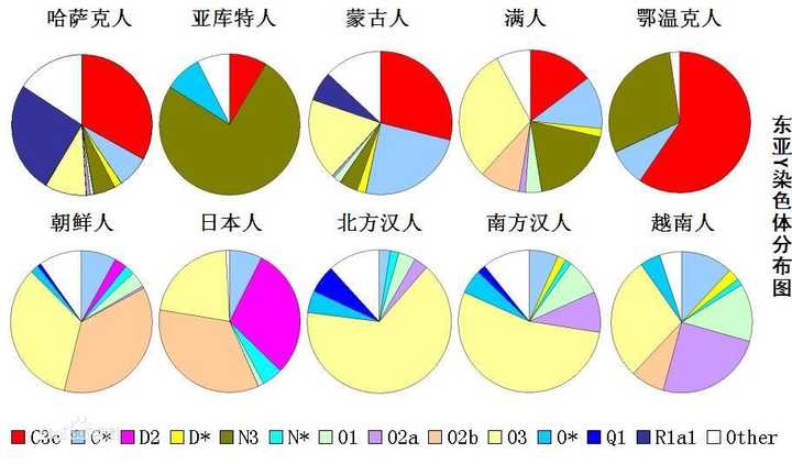 图三:部分亚洲人的y染色体分布图