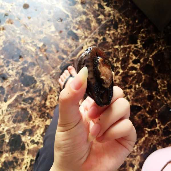 在海岛生活是一种什么样的体验的?