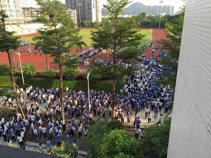 在深圳市宝安中学就读是怎样一番的体验?