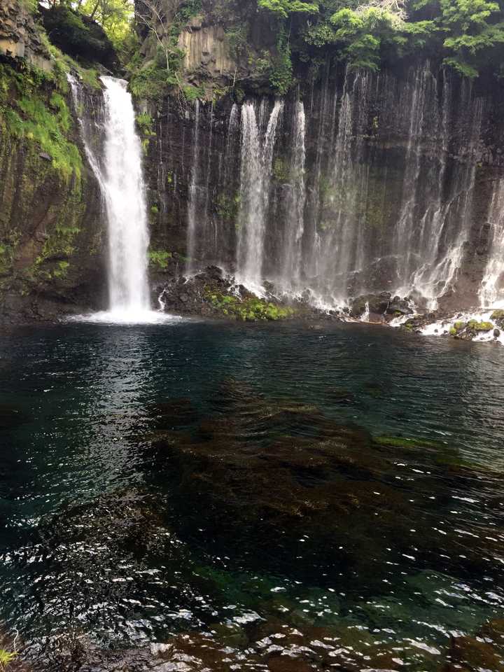 语文试讲教案模板_试讲教案模板_日语试讲教案模板