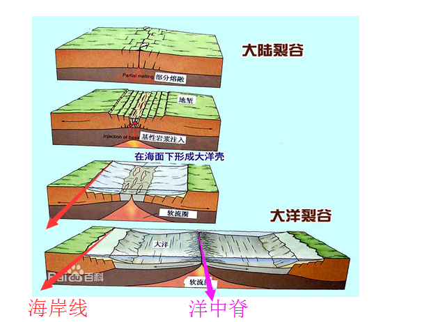 大陆漂移和地质构造中的板块运动是不是指同一回事?