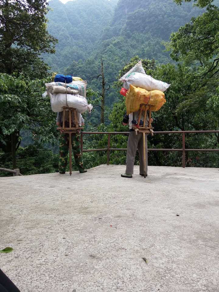 成都到峨眉山旅游有什么攻略?