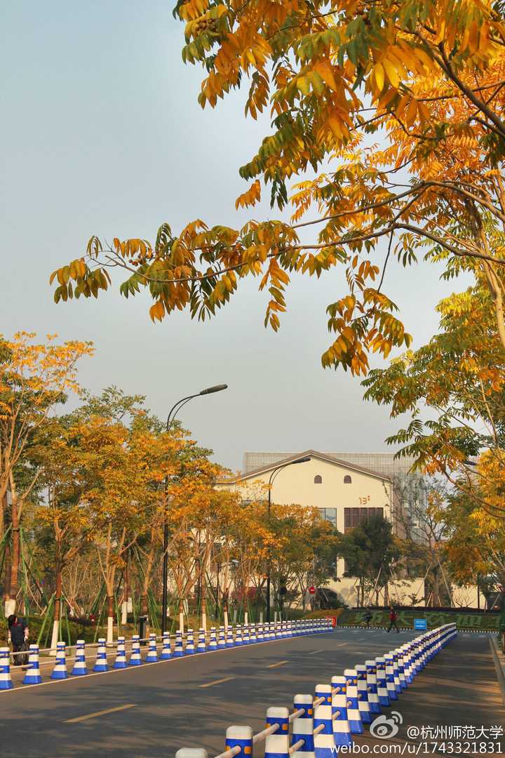 在杭州师范大学(hangzhou normal university)就读是怎样一番体验?