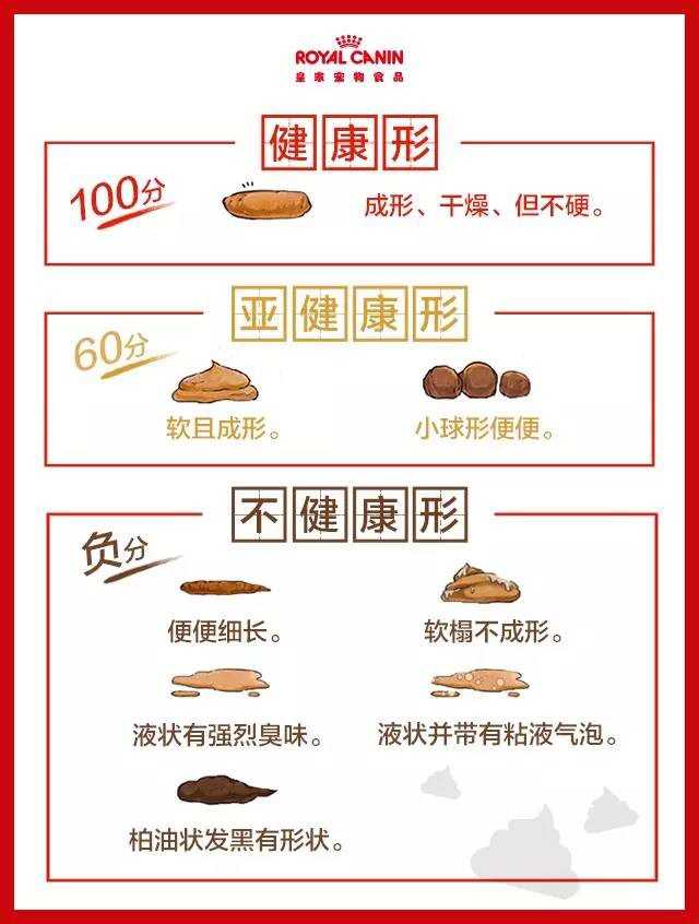 猫粮